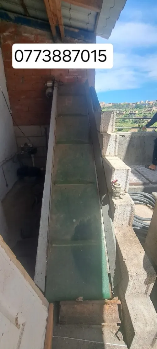 Tapis élévateur d'olive de l'huilerie 