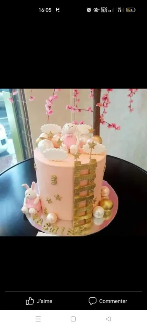 Gâteau tradecenelle 