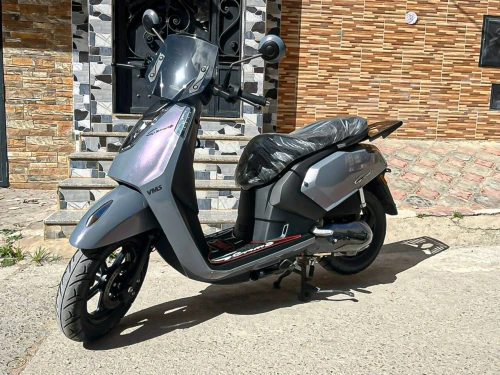 VmS Gemma 2026