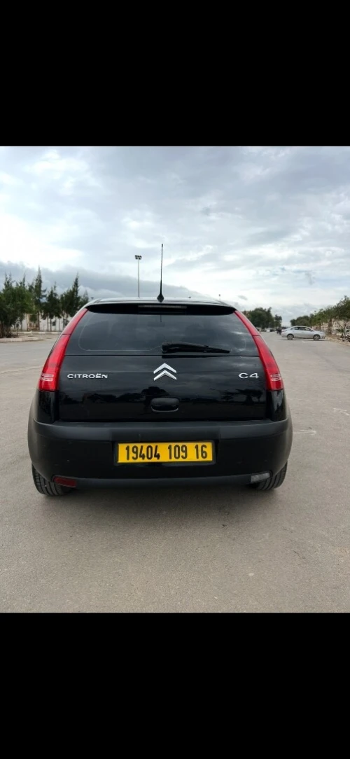 Citroen C4 2009 Vitamine