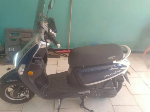 Okinoi Cuxi 2025