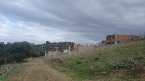 Vente Terrain Boumerdès Zemmouri