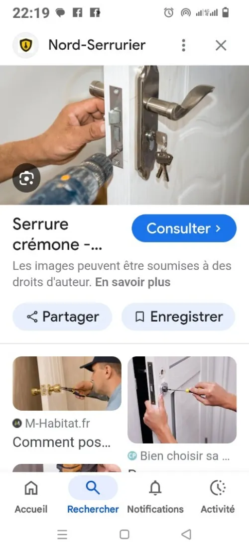 Rideau métallique portail coulissant portail à bâton