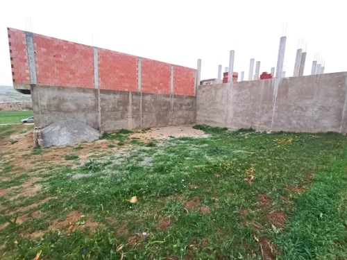 Vente Terrain Relizane El guettar