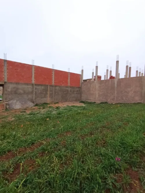 Vente Terrain Relizane El guettar