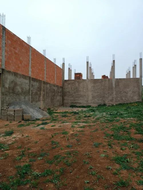Vente Terrain Relizane El guettar