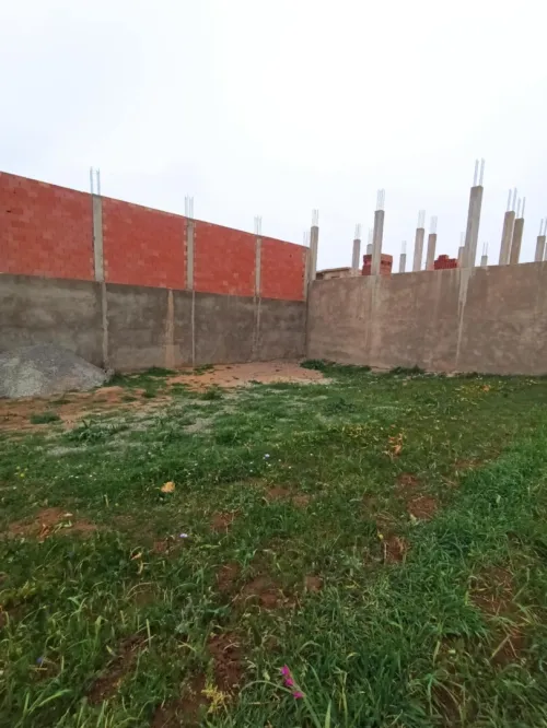 Vente Terrain Relizane El guettar