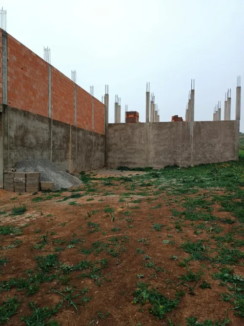 Vente Terrain Relizane El guettar