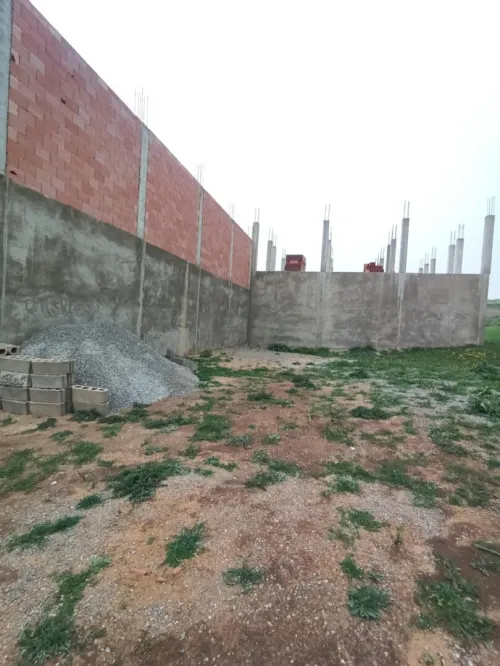 Vente Terrain Relizane El guettar