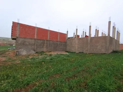 Vente Terrain Relizane El guettar