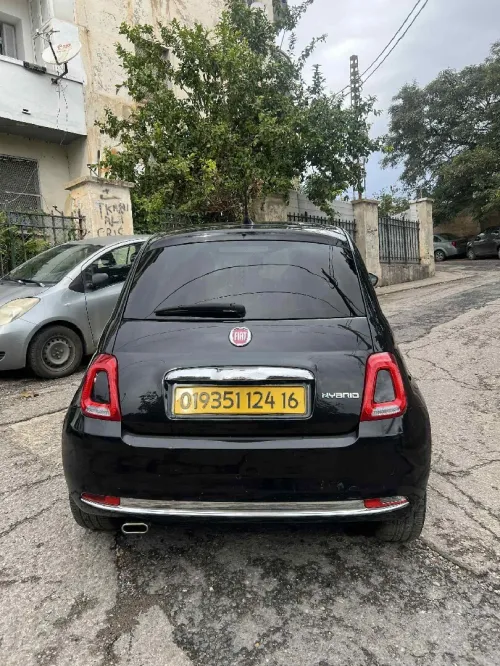 Fiat 500 2024 Cult MIB
