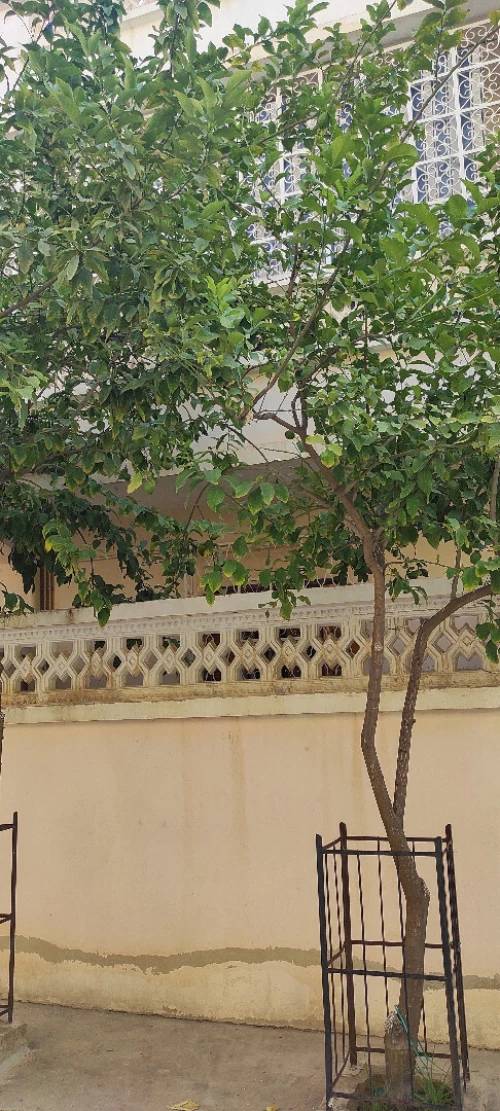 Vente Villa Constantine Hamma bouziane