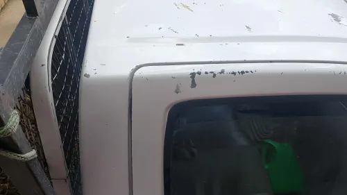 Nissan Pickup 2007 Pickup 10