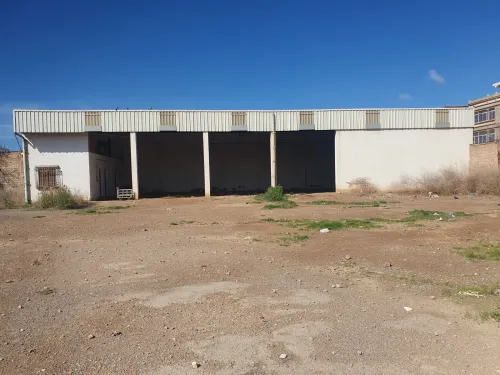 Location Hangar - Usine Oran Sidi chami