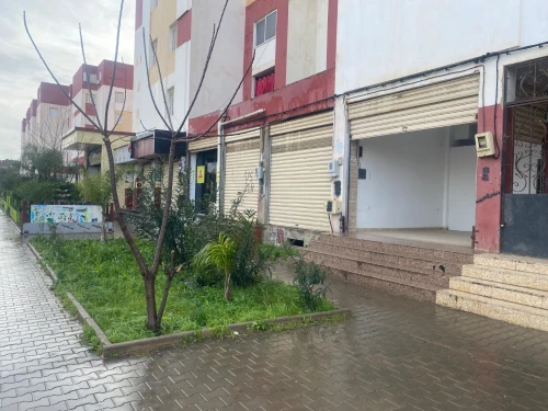 Location Local Alger Baraki