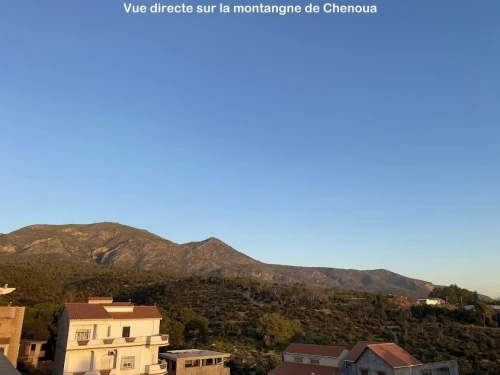 Location vacances Villa Tipaza Tipaza