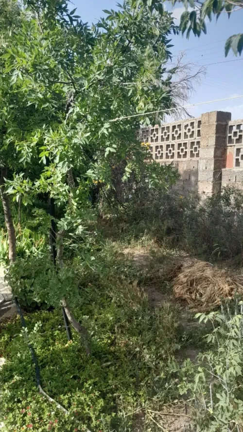 Vente Appartement Bordj Bou Arreridj Ras el oued