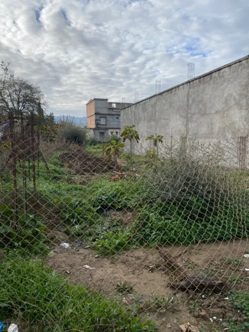 Vente Terrain Blida Larbaa