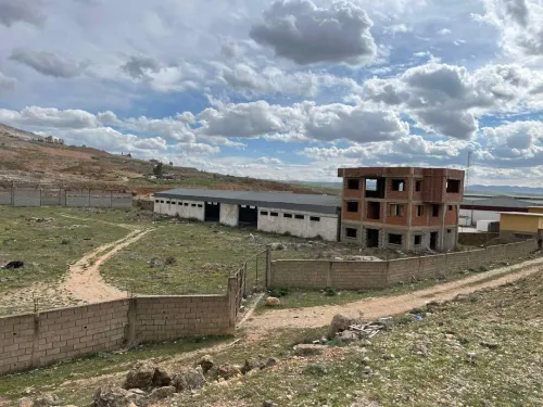 Vente Terrain Constantine El khroub