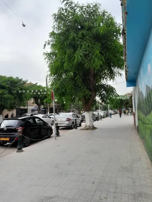 Vente Appartement Alger Bordj el bahri
