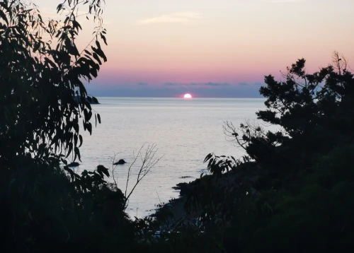 Location vacances Appartement Niveau de villa F4 Annaba Chetaibi