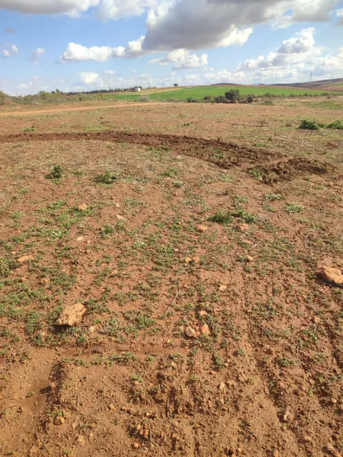 Vente Terrain Agricole Aïn Témouchent Terga