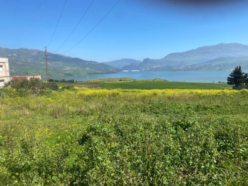 Vente Terrain Mila Sidi merouane
