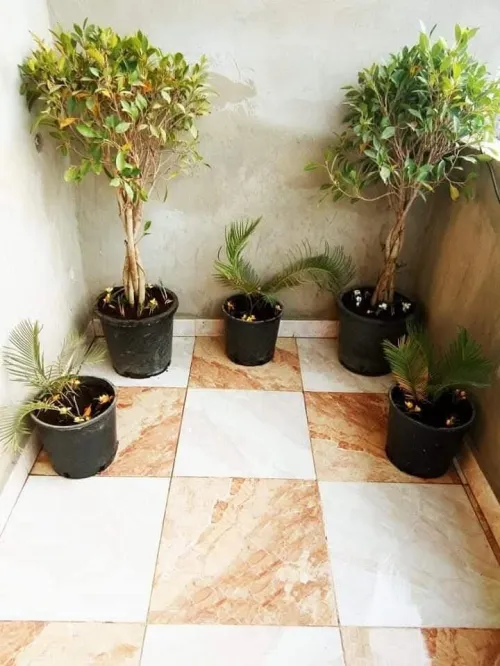 Aménagement des espaces verts