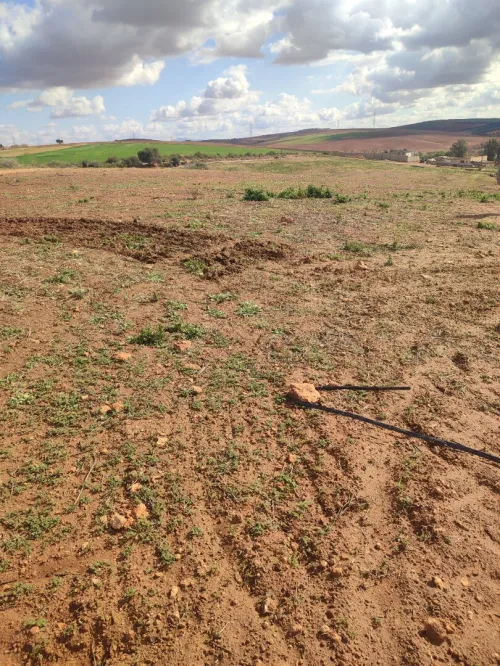 Vente Terrain Agricole Aïn Témouchent Terga
