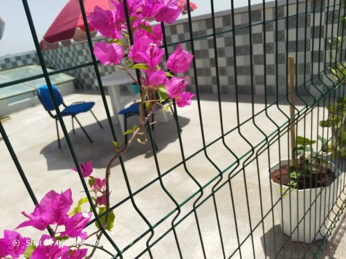 Location vacances Appartement F3 Oran Oran