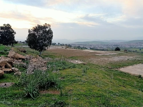 Vente Terrain Constantine Hamma bouziane