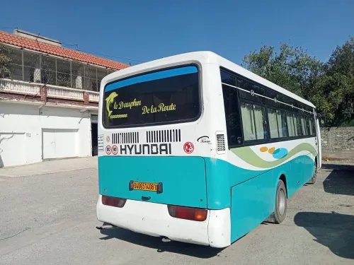 Hyundai hyundai irotone 2008