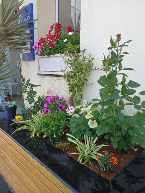 Aménagement des espaces verts 