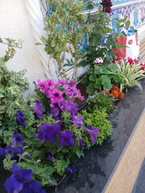 Aménagement des espaces verts 