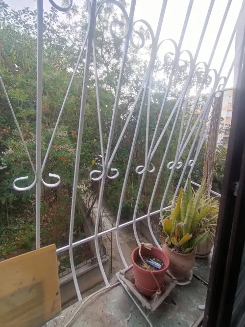 Location Appartement F4 Alger Bourouba