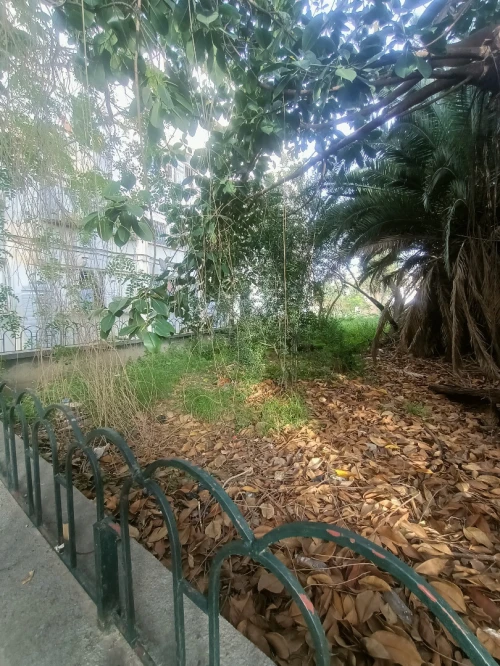 Location Appartement F4 Alger Bourouba