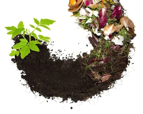 Compost universel 