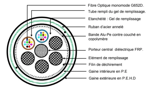 Câble fiber optique  à 08 / 12 / 24 Brins Monomode G652.D 