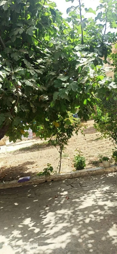Vente Villa Alger Sidi moussa