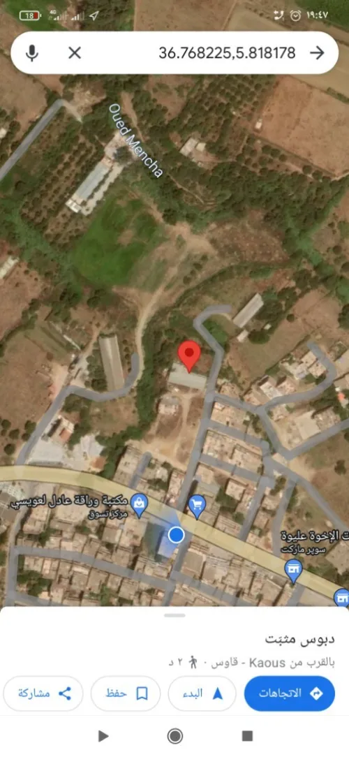 Vente Terrain Jijel Kaous