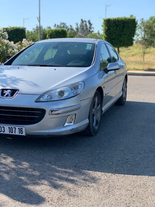 Peugeot 407 2007 407