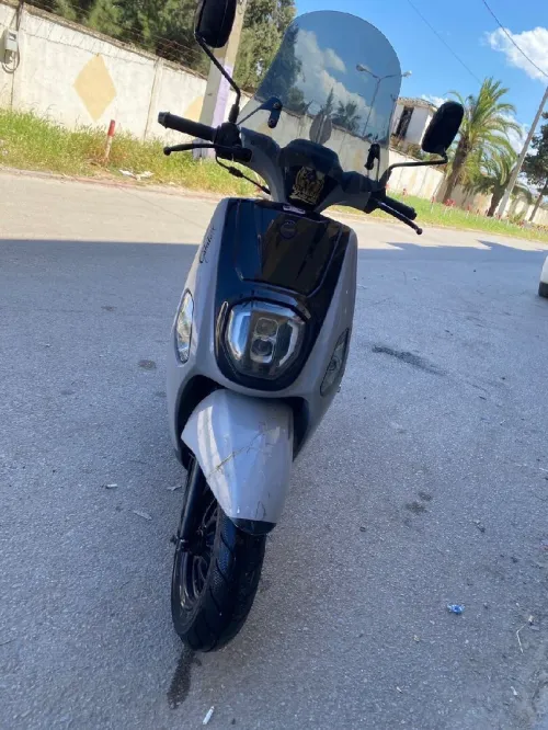 Vms Estate x 2023