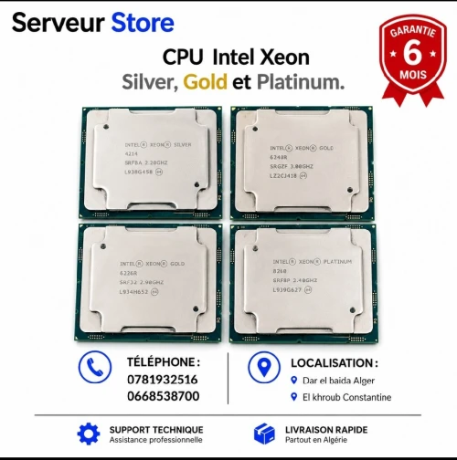 Processeurs CPU serveur platinum (6248R, 6230R, 5218R, 4214R, 8276,8260....