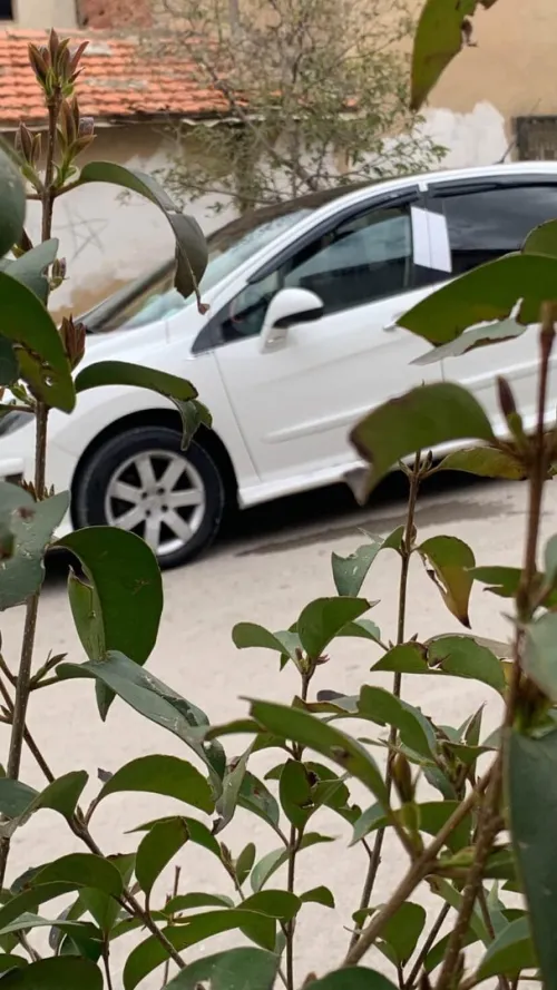 Peugeot 308 2011 308