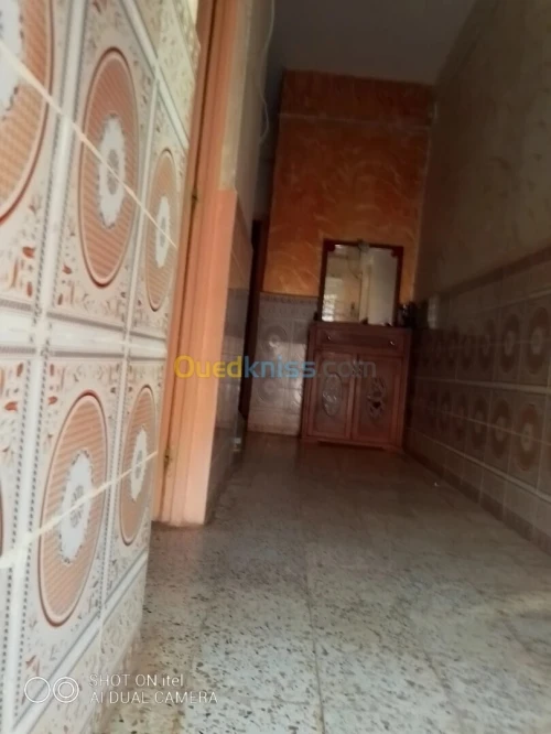 Vente Terrain Agricole Tiaret Serghine
