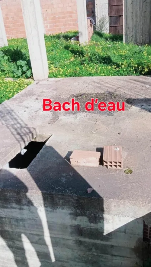 Cherche achat Terrain Boumerdès Ouled moussa