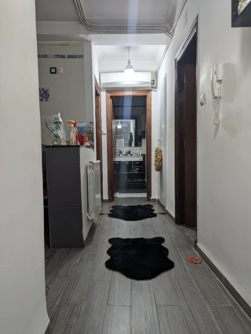 Location Appartement F3 Alger Dely brahim