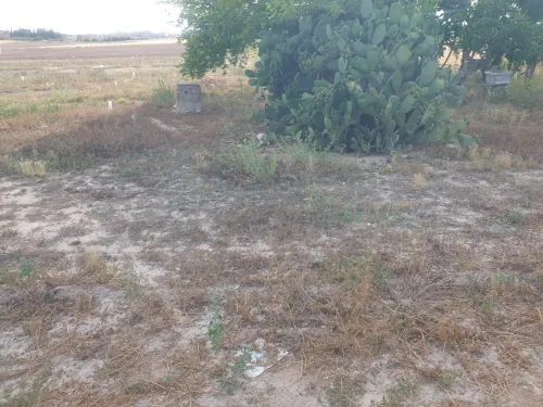 Vente Villa Mila Chelghoum laid