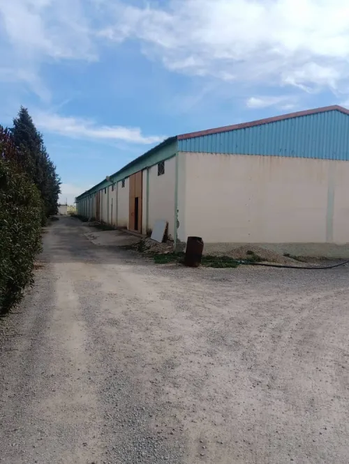 Location Hangar Sétif Guelal