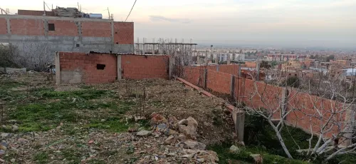 Vente Terrain Blida Ouled selama